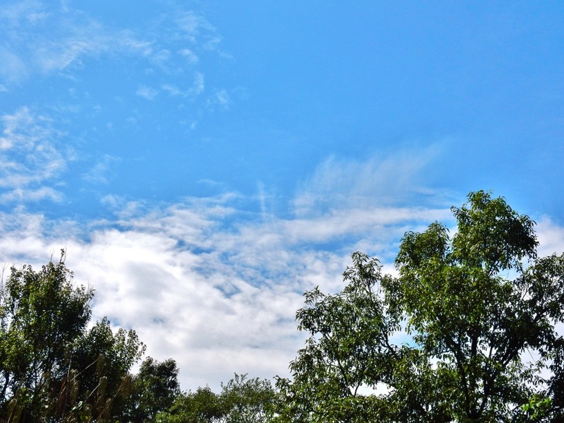 空3.JPG