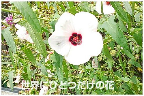 rblog-20160831213619-00.jpg