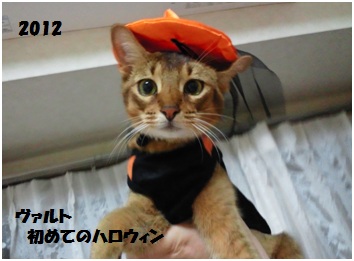 2012ハロウィン2