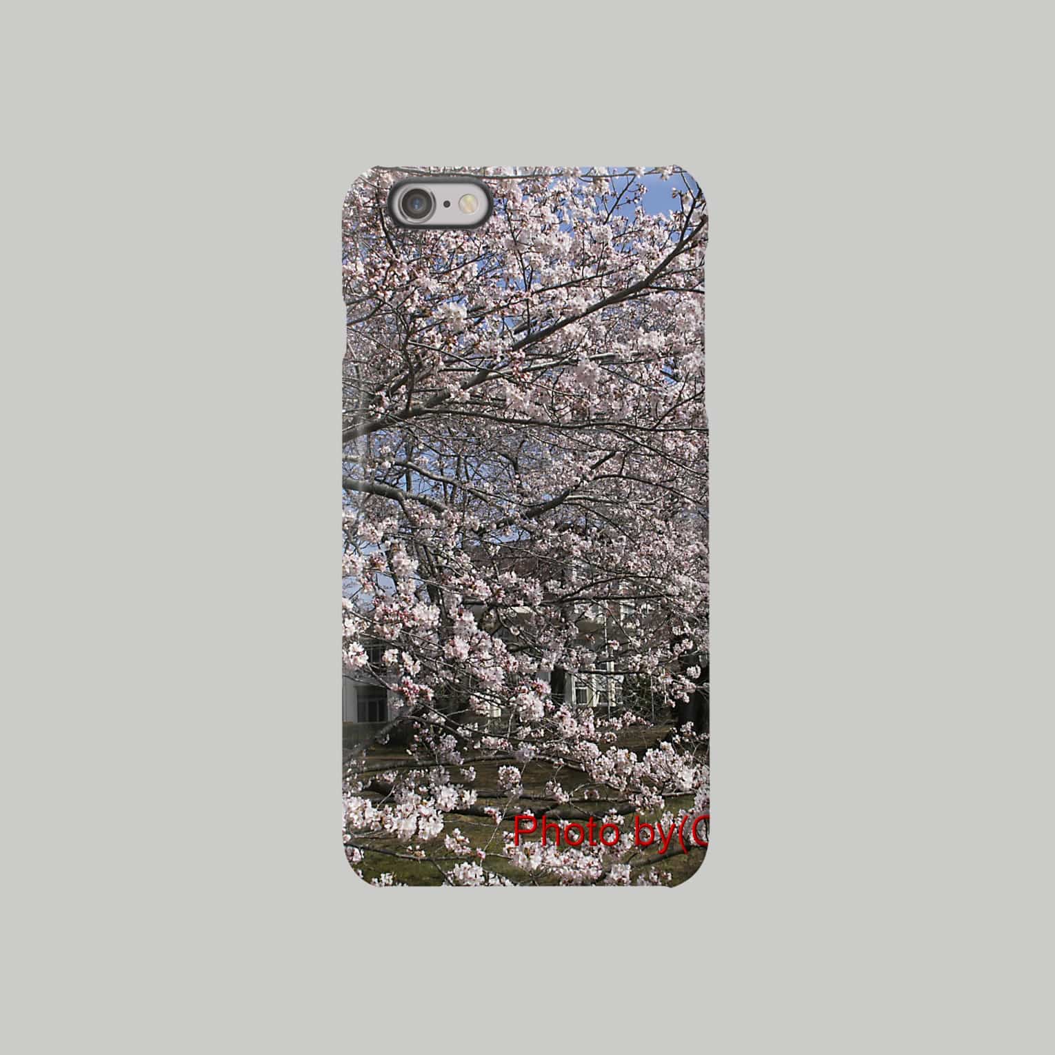 光景　sight0070　桜　2015_015　サクラ スマートフォンケース