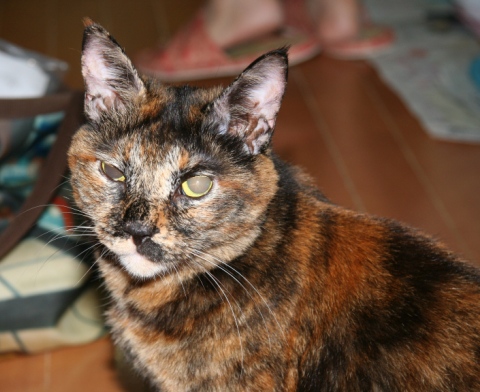 20131005ｻｺ03.jpg