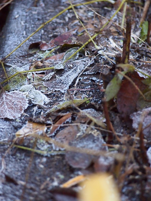 s-p2858.jpg