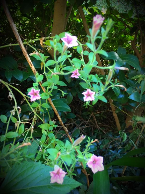 rblog-20160731173203-05.jpg
