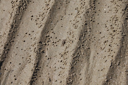 DSC_0918.jpg