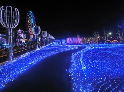 DSC05204.jpg