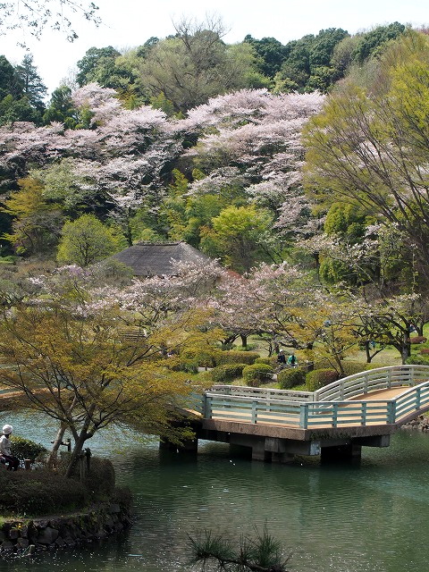 P4090544.jpg