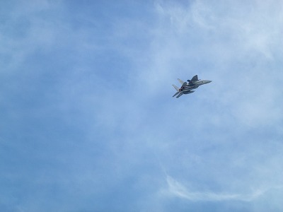 P1000543.jpg