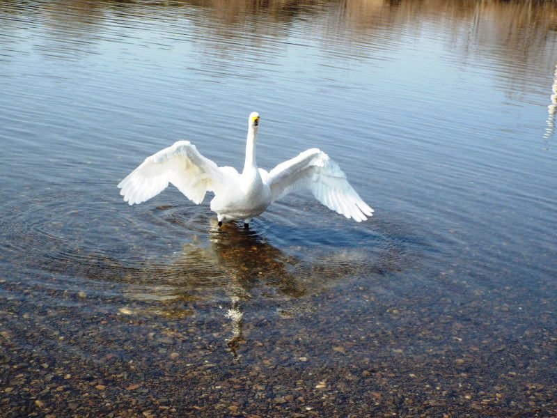 A127 kohakutyou-129.jpg