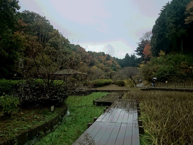 DSC_0422.jpg
