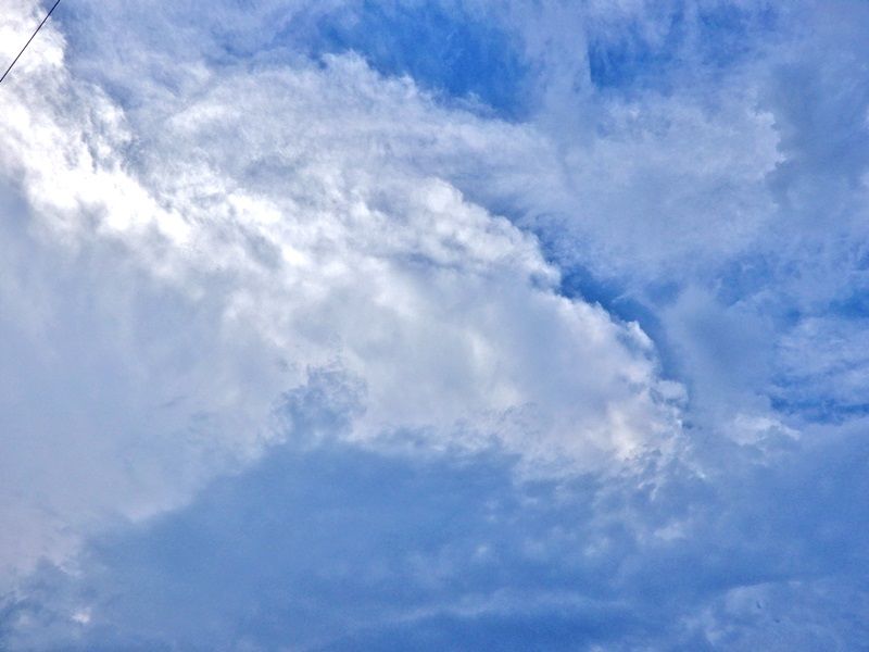 空4