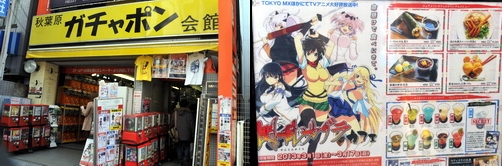 akiba130302h.jpg