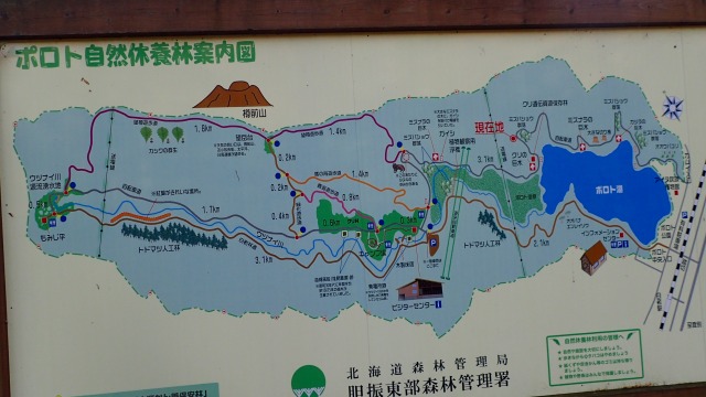 PA211467　14：26此の先で戻る.jpg