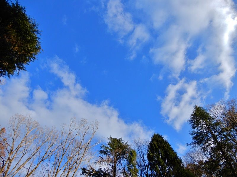 空4