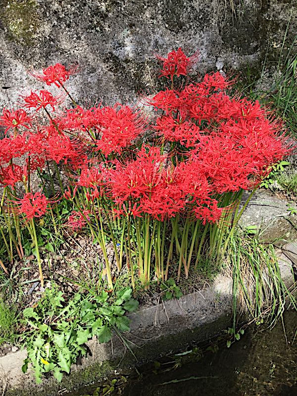 rblog-20180923230127-04.jpg