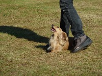 20121016150442[1].jpg