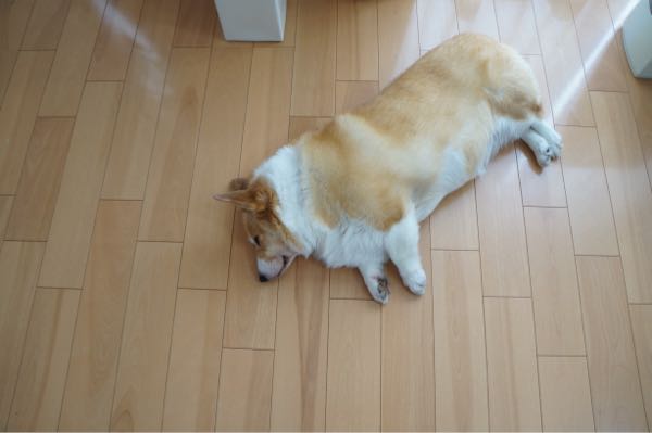 rblog-20160914211626-05.jpg