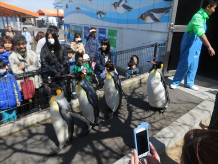 越前松島水族館