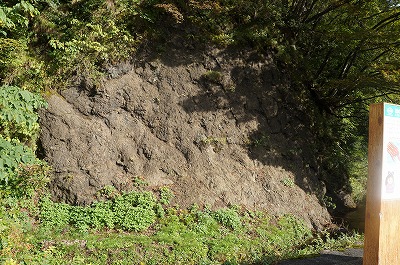 DSC02808.jpg
