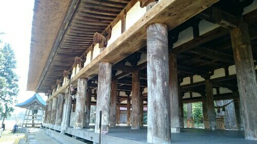 rblog-20170106191833-01.jpg