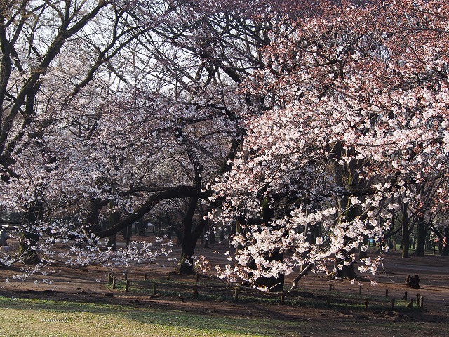 P3290050.jpg