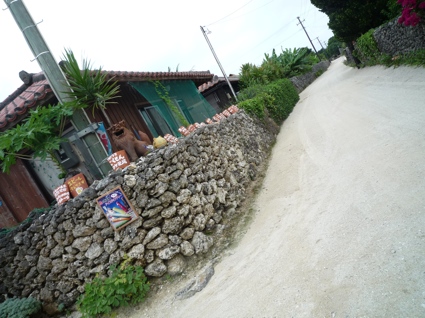 2012.05.30竹富島5.jpg