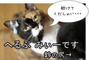 画像 005.jpg