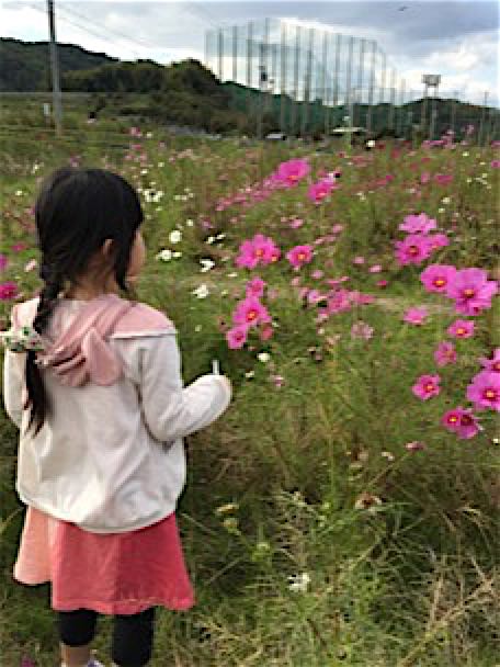 rblog-20161127003419-03.jpg