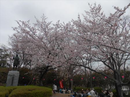 浜松城公園の桜