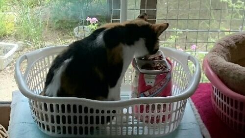 rblog-20170517013240-01.jpg