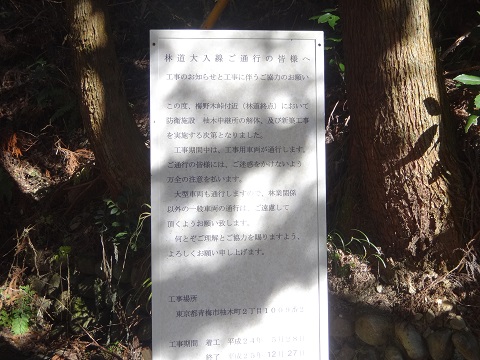 DSC07487.JPG