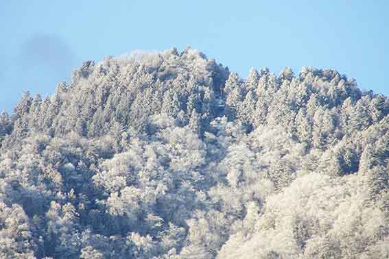 高越山2016/2/25-3♪