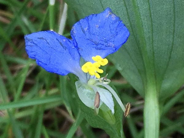 rblog-20170802151412-01.jpg