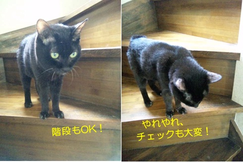 20120723_3.jpg