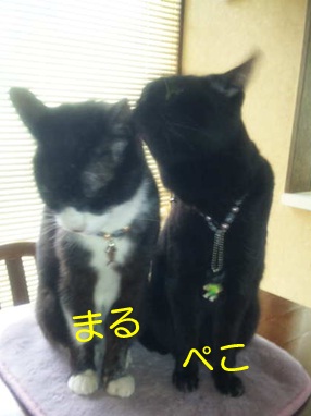 20121014_5.jpg