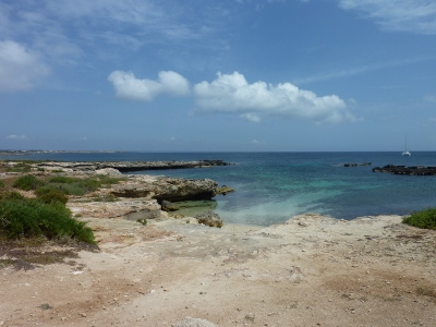 259 (400x300).jpg