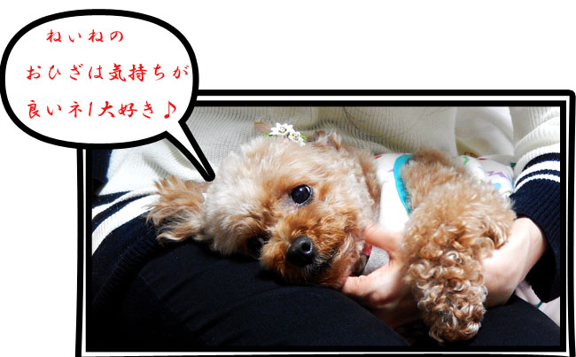 こころ２５－１