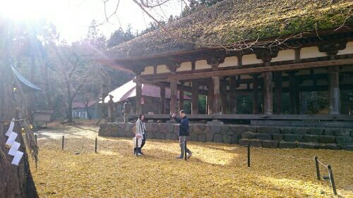 rblog-20170106191833-02.jpg