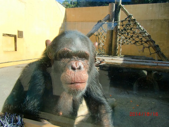 秋のシャボテン公園 029.jpg