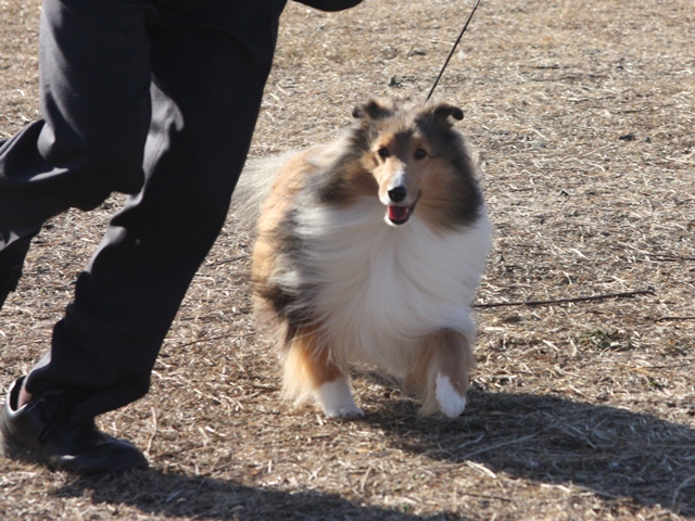 IMG_0513 - コピー.JPG