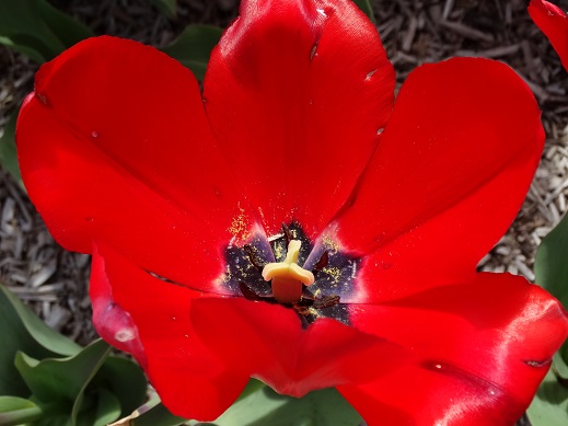 2015.04.18-2.JPG