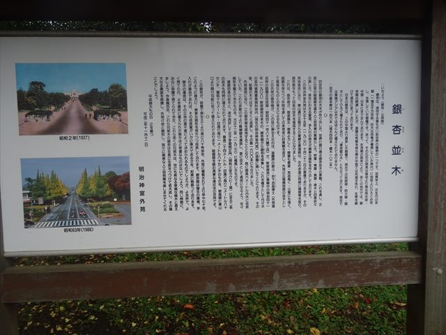 DSC07811_R.JPG