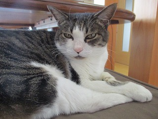 IMG_4702ss.jpg