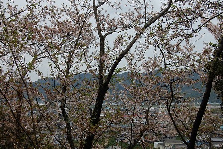 s-DSC_0337.jpg
