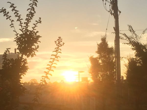 rblog-20160925095240-01.jpg