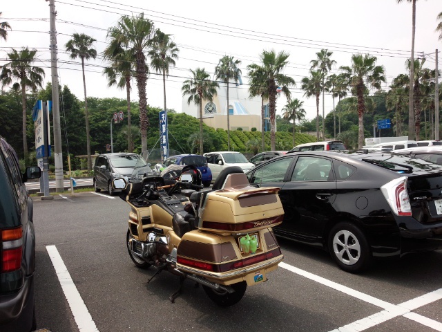 IMG_20140614_100414.jpg