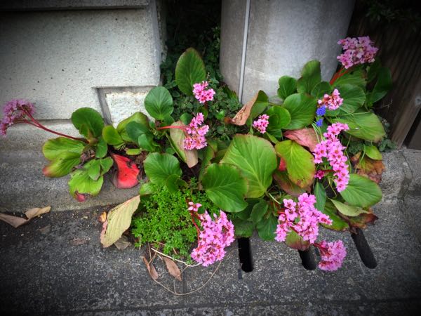 rblog-20160330184331-02.jpg