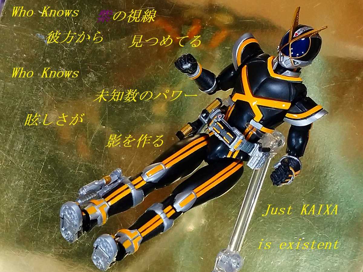 ⭐️カイ⭐️ 仮面ライダーカイザ ~existence ～KAIXA-nized dice~ ~2021年 | 第3