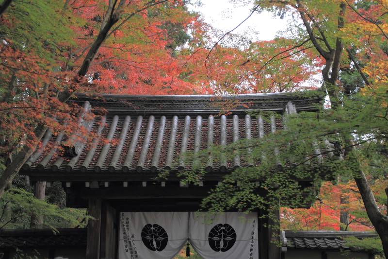 光明寺_007.jpg