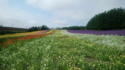 rblog-20180727072202-00.jpg