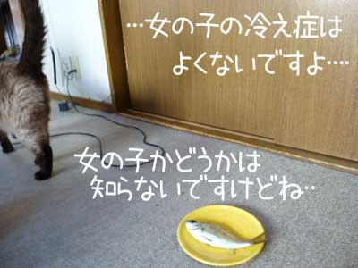 アジ６.JPG